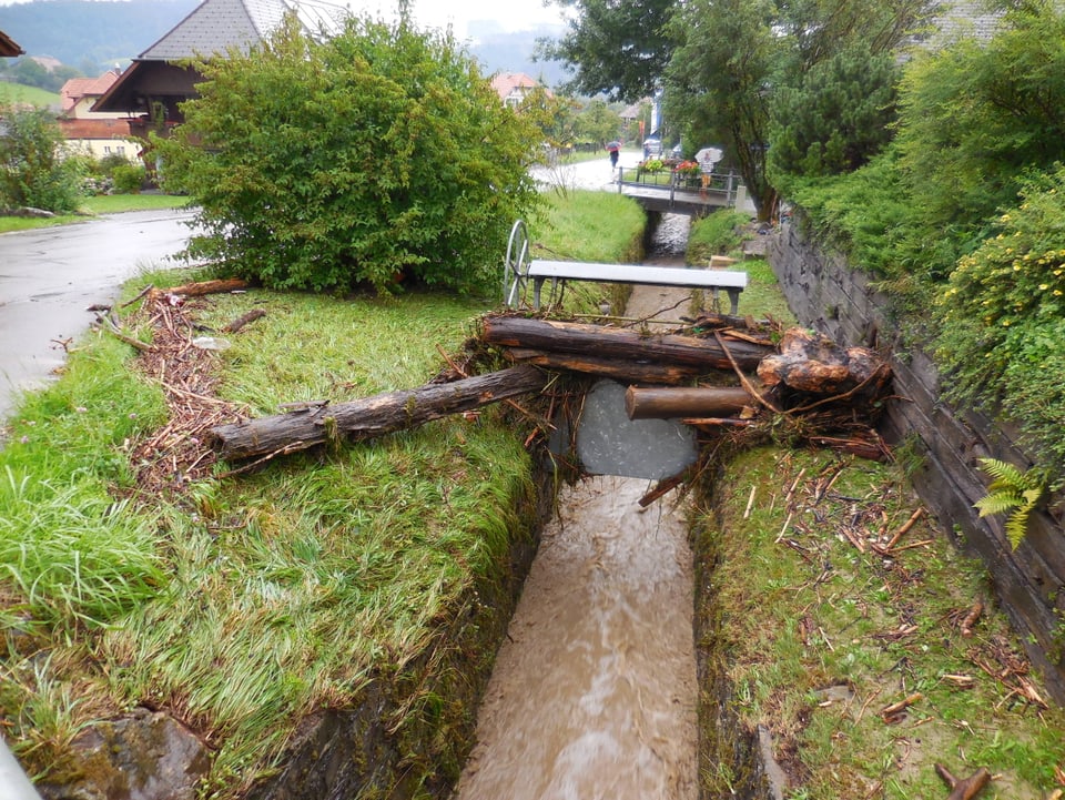 An einer Stauvorrichtung in einem Dorfbach blieben mehrere Baumstämme hängen. Das Wasser ist bereits zurückgegangen, der Bach fliesst wieder in seinem Bett. Die Baumstämme lassen aber erahnen, dass das Wasser eine enorme Kraft gehabt haben muss.