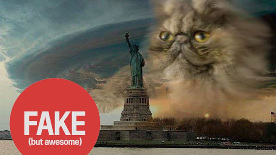 Auf dieser Bildmontage schwebt eine riesige Katze über New York.