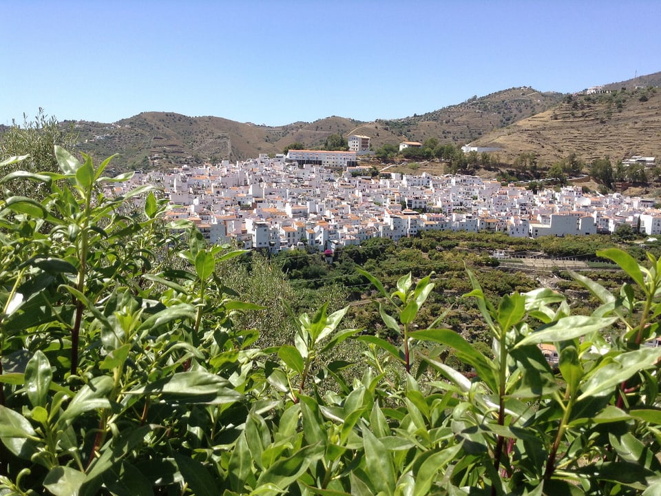 Andalusisches Dorf mit weissen Häusern von oben.