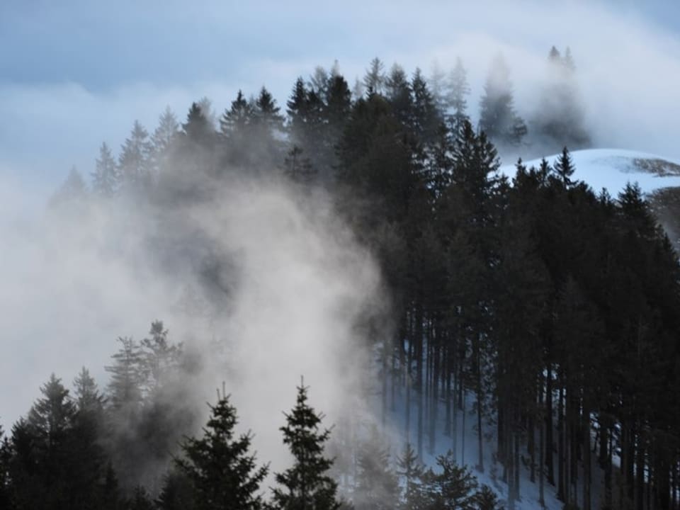 Nebelstimmung über dem Wald, auf der 3. Etappe Huttwil-Escholzmatt.