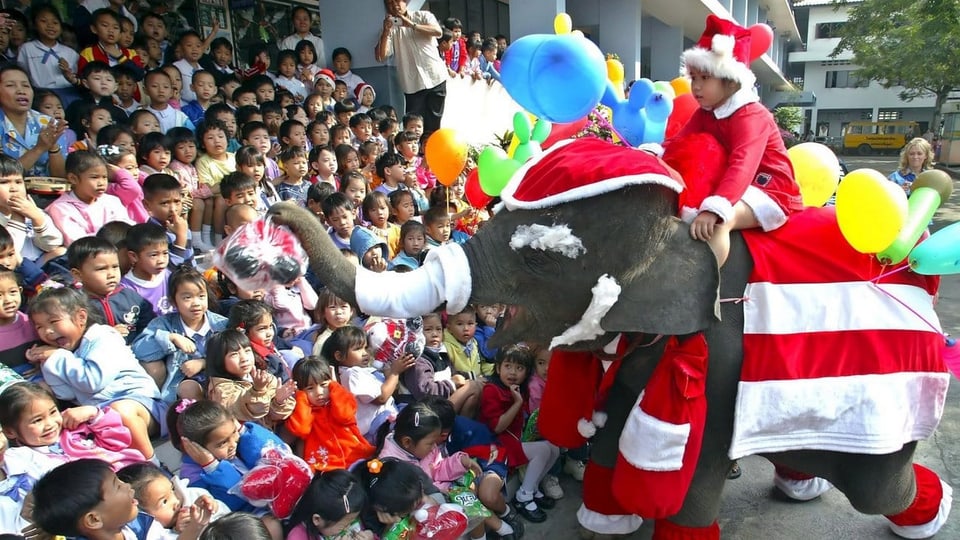 Elefant verkleidet als Weihnachtsmann bringt Kindern einer thailändischen Schule Geschenke.