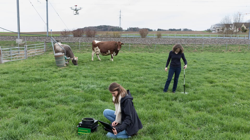 Zwei Frauen mit Messinstrumenten auf einer Weide mit zwei Kühen.