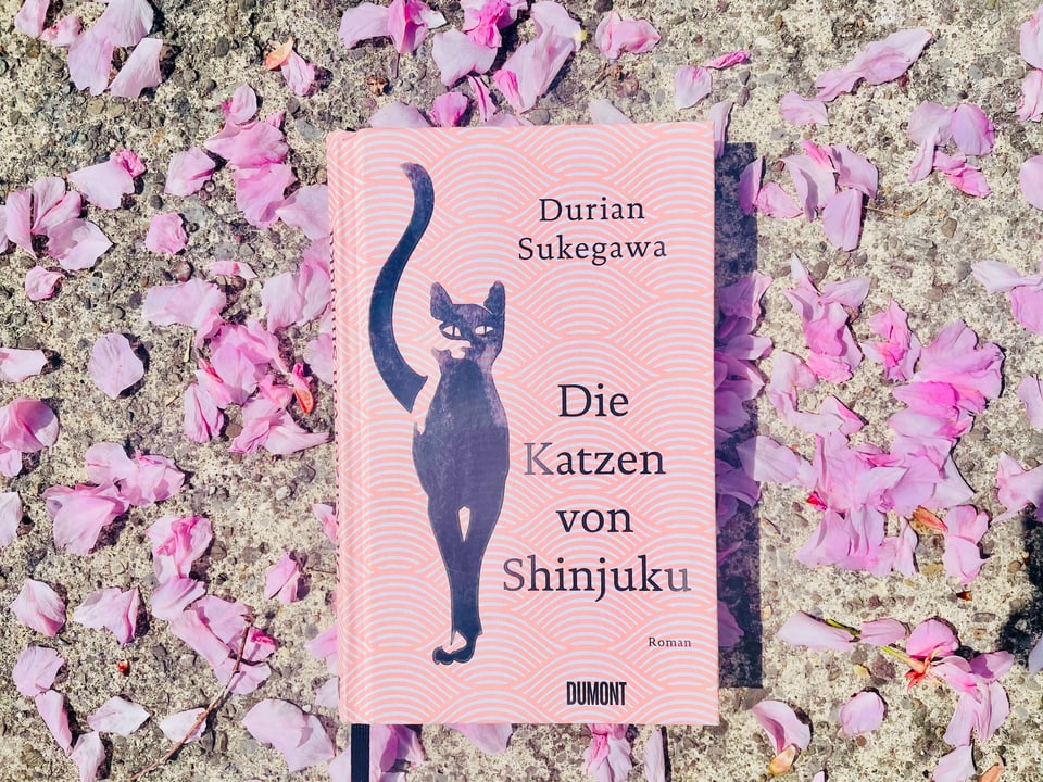 Der Roman «Die Katzen von Shinjuku» von Durian Sukegawa liegt auf Kirschblüten