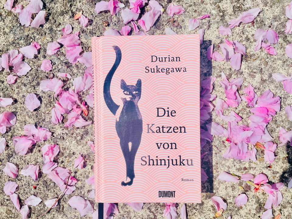 Buchtipp Nummer 1 Der Roman «Die Katzen von Shinjuku» von Durian Sukegawa liegt auf Kirschblüten