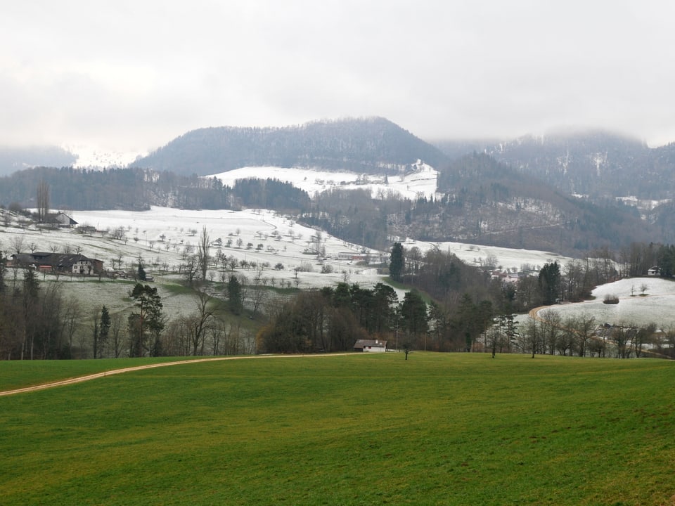 Ein Berg im Baselbiet ist schneebedeckt, etwas tiefer sind die Wiesen noch grün - die Schneegrenze ist deutlich zu erkennen.eutlich