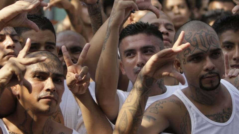 Jugendbanden in El Salvador – das ganze Gespräch mit Journalistin Weiss