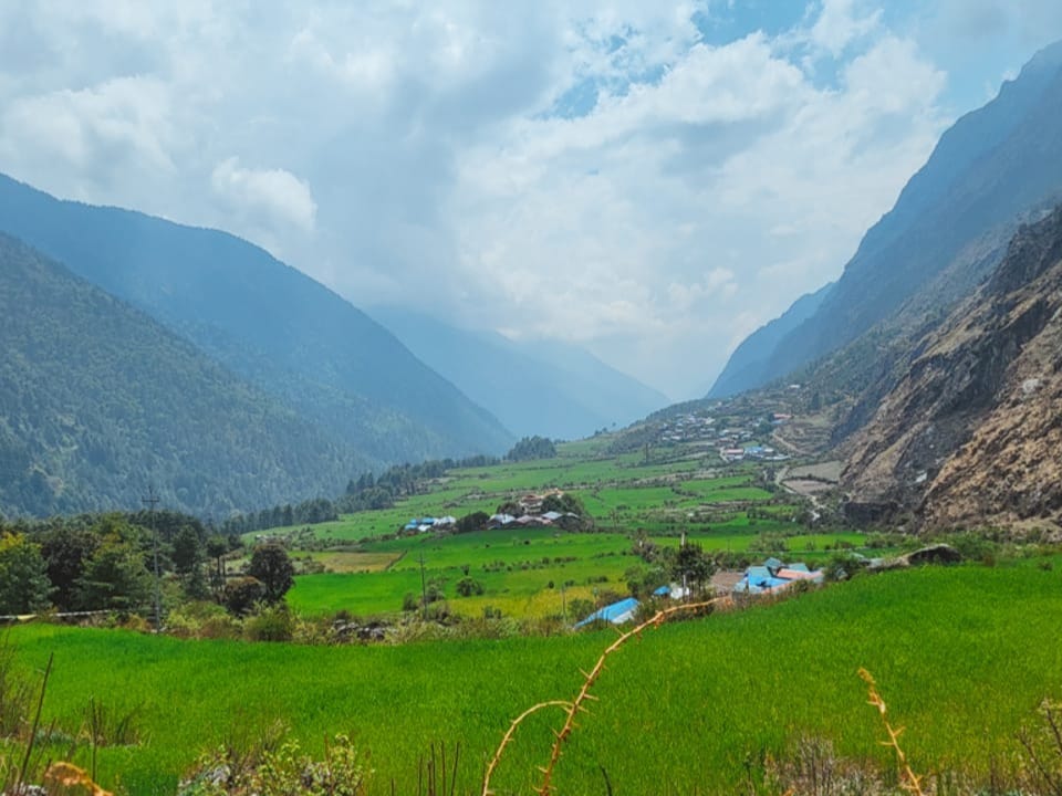 Depending on the region, different staple foods are grown.  Even at an altitude of 3500 meters above sea level.