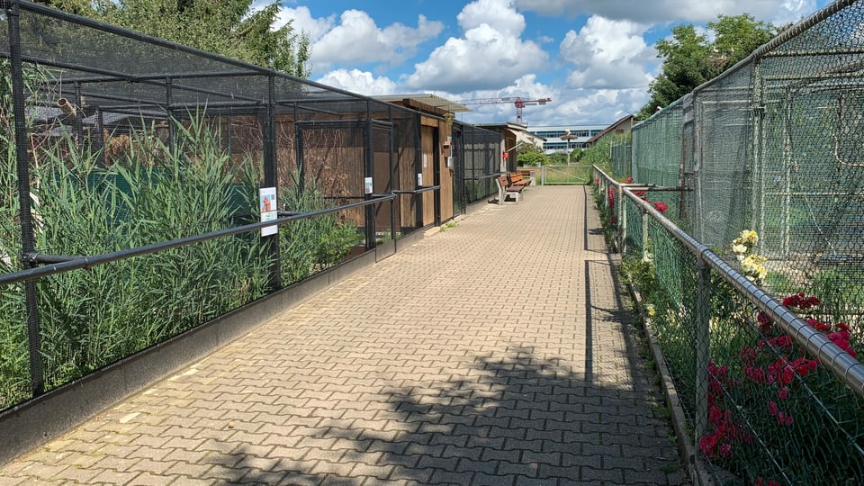 Aussenanlage der Storchenstation: Vergitterte Volieren links und rechts des Weges