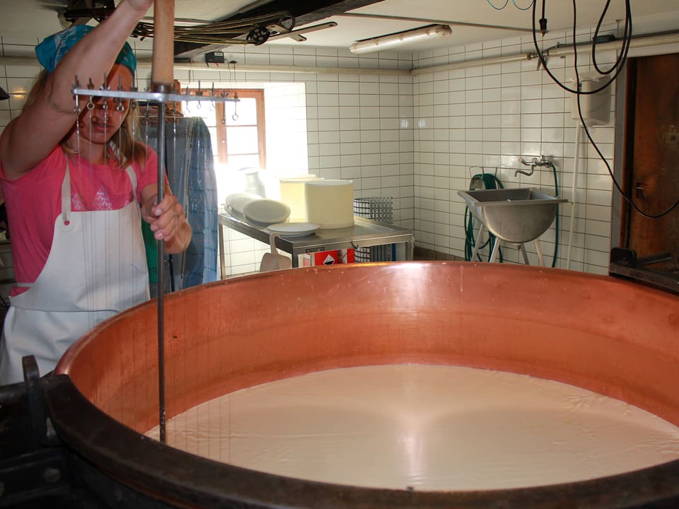 Rahel Beglinger bearbeitet mit der Käseharfe die Milch im «Milchkessi».