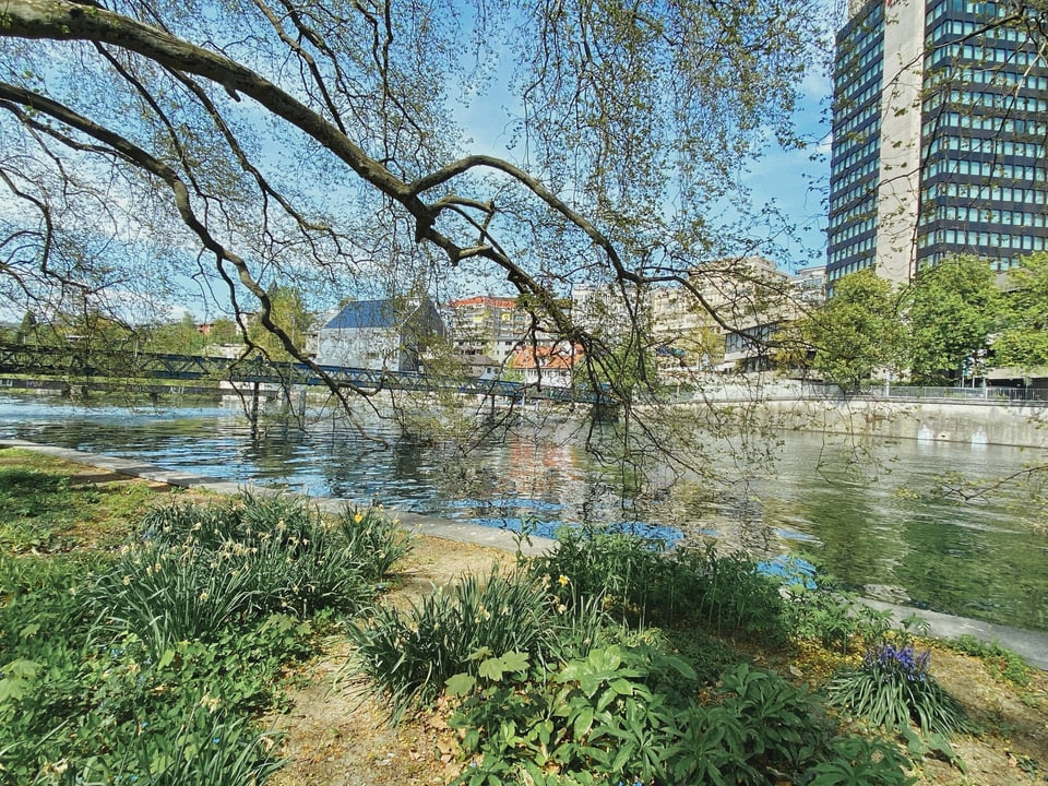 Gleich hinter dem Hauptbahnhof Zürich liegt der Platzspitz. Dies ist eine Parkanlage, welche mitten in der Stadt für etwas Ruhe sorgt. Leanne und Joëlle entdecken da beispielsweise dieses angelegte Beet mit verschiedenen Pflanzenarten.