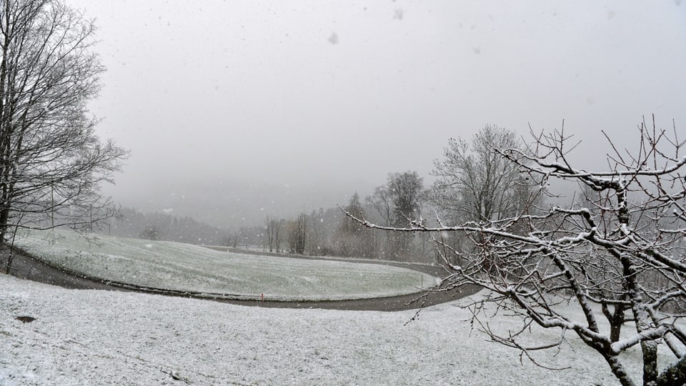 Verschneite Wiesen bei Bretzwil (BL).