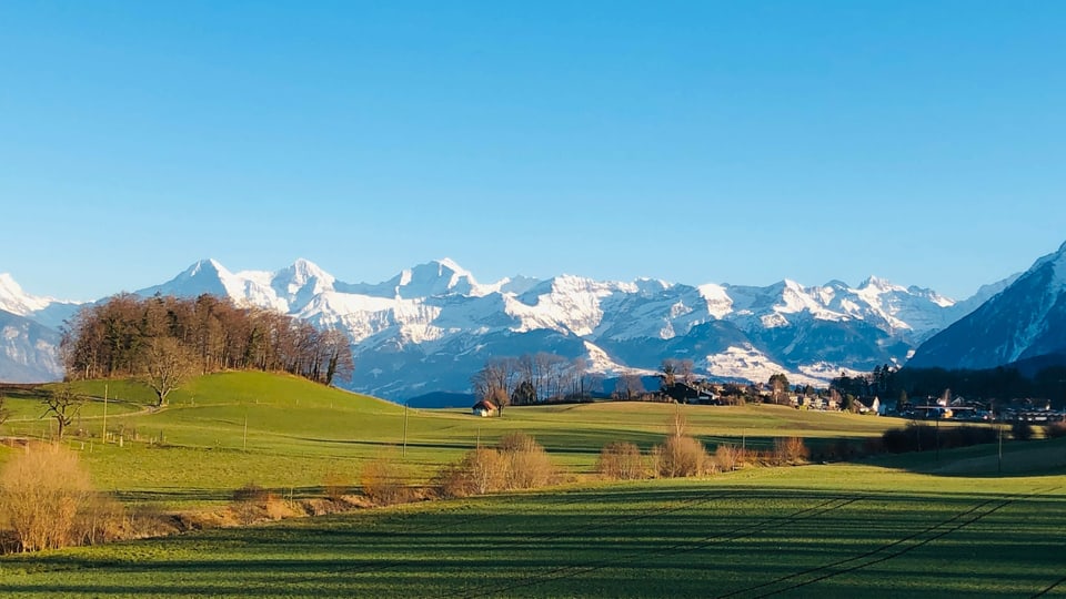 Blick von Thierachern auf die verschneiten Berge des Berner Oberlandes.