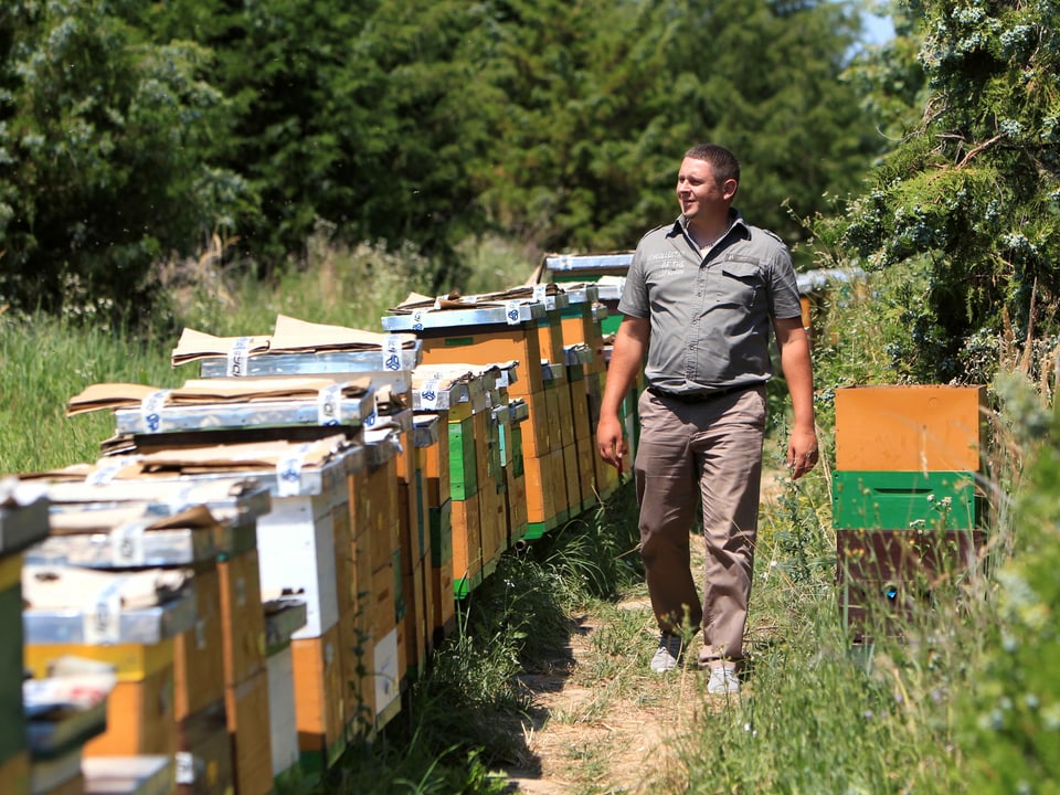 Bienenzüchter Daniel Ferencz