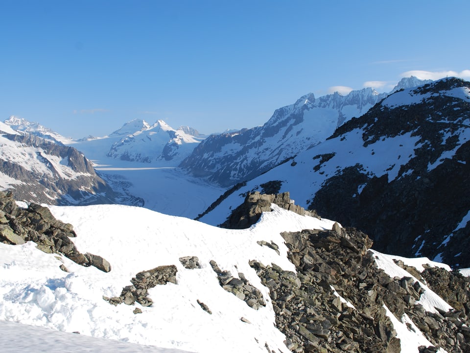Die Aussicht vom Eggishorn auf den Aletschgletscher und die Berner Alpen. 