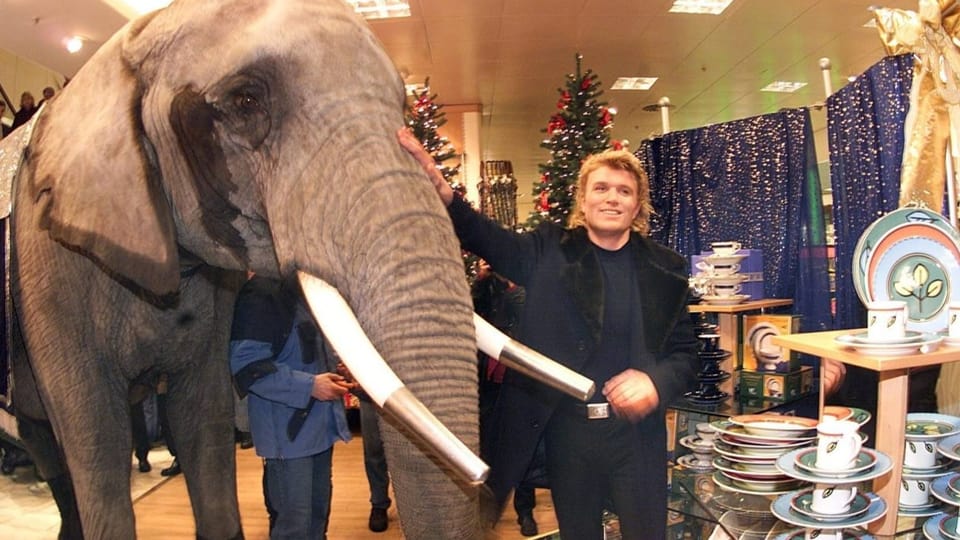 «Elefant im Porzellanladen» Elefant in einem Geschäft.