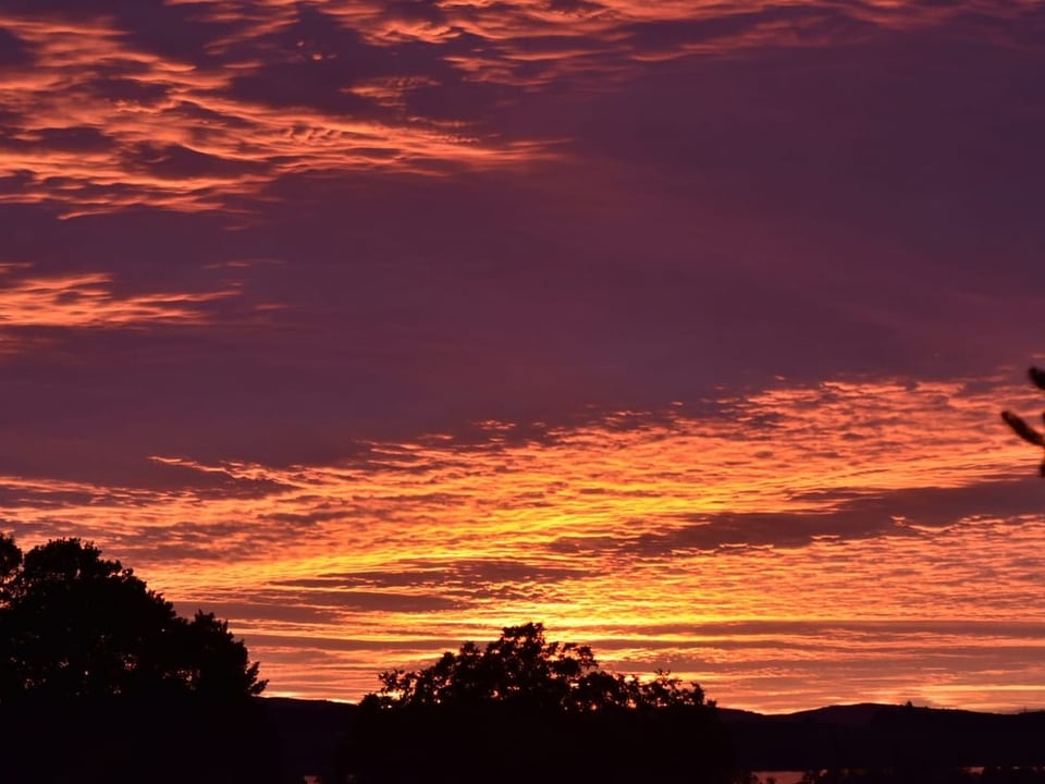 Auslikon ZH Abendrot.