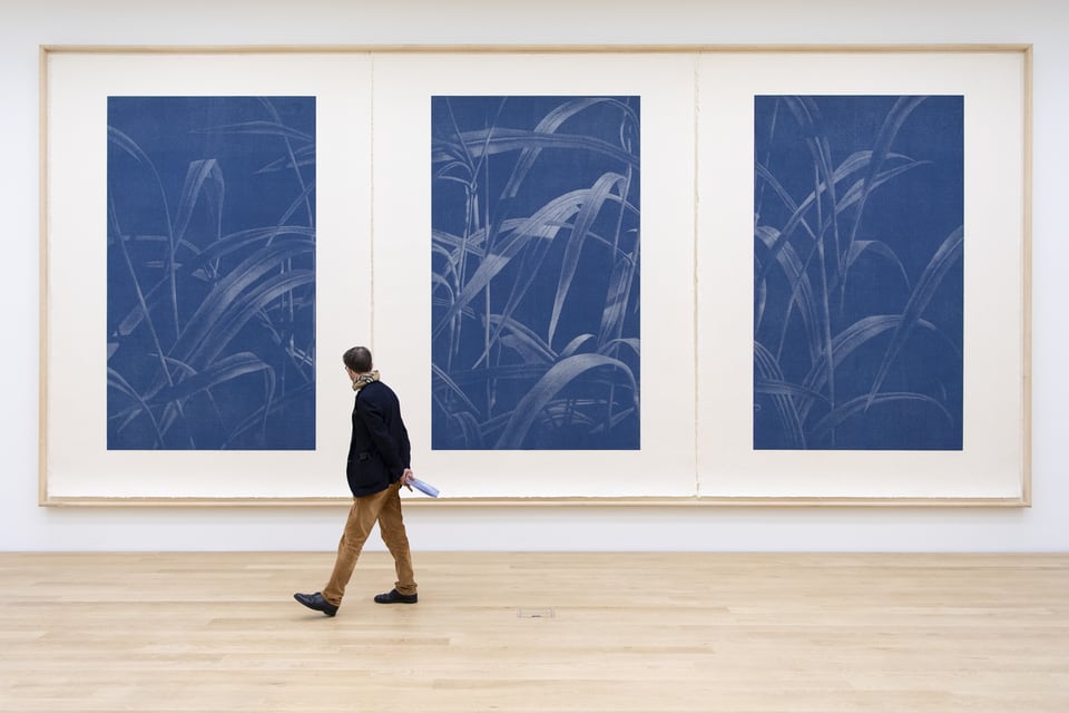 A man standing in front of a large blue three-part image with blades of grass