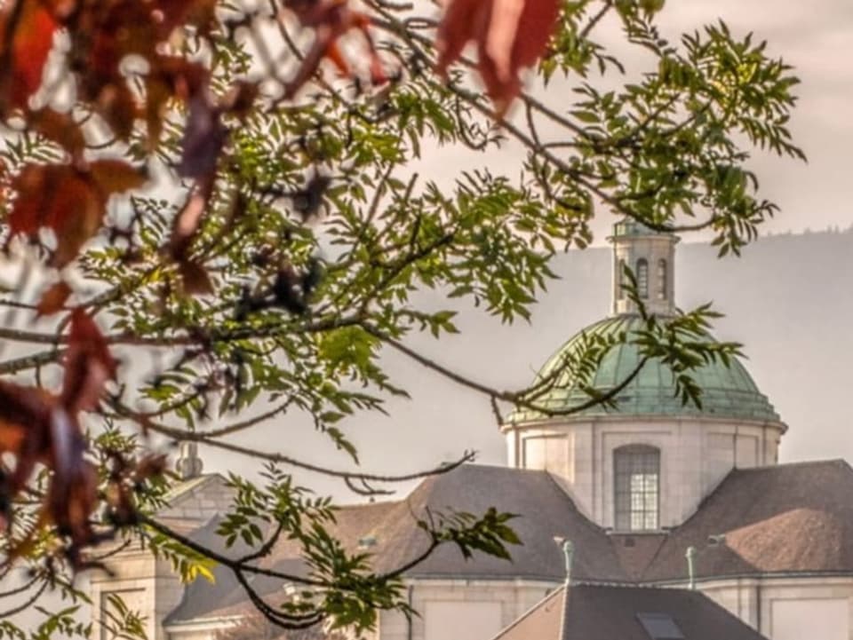 Häuser einer Stadt mit farbigen Bäumen bei Sonnenschein