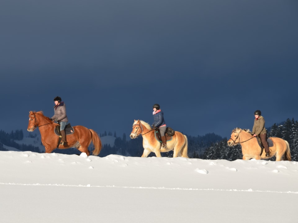 Drei Frauen reiten auf ihren Pferden in der Abendsonne. Im Vordergrund eine tiefverschneite Wiese, im Hintergrund dunkle