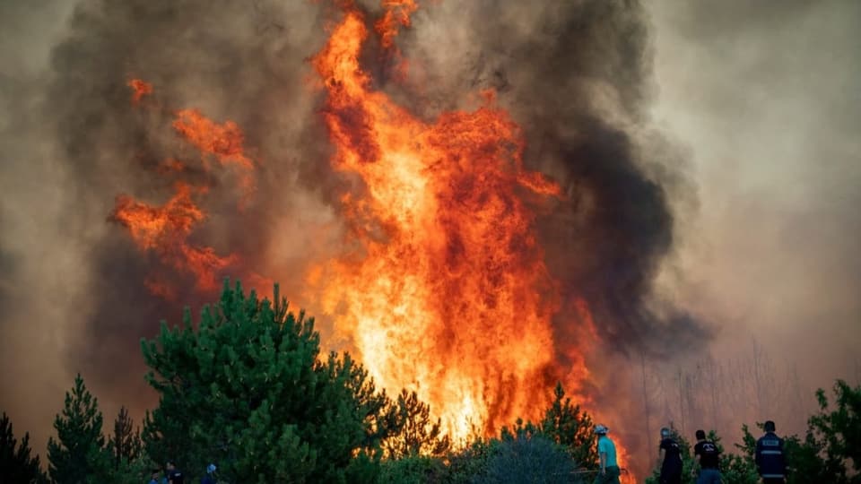 Ein Waldbrand ist abgebildet.