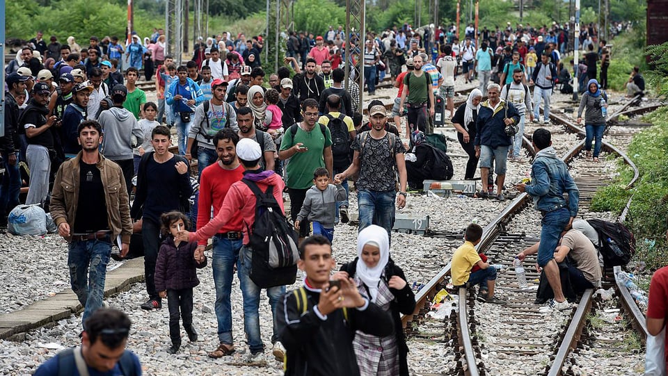 Migranten an der mazedonischen Grenze. 