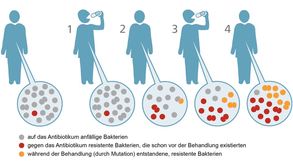 Entwicklung von Resistenzen