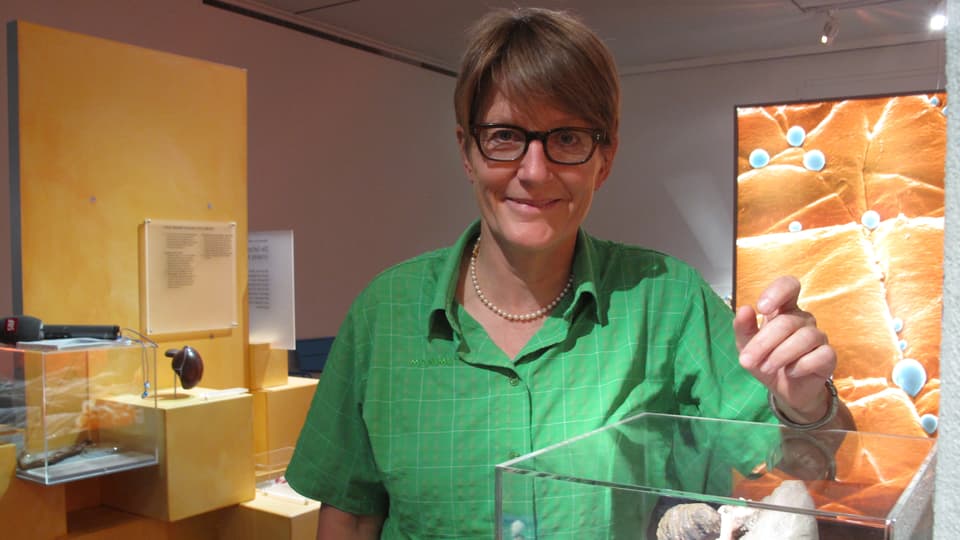 Britta Allgöwer, Direktorin im Ausstellungsraum des Naturmuseums.