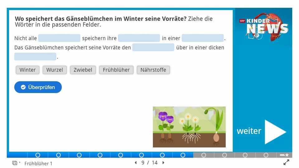 Eine Frage aus dem Quiz mit Multiple-Choice Antwortmöglichkeiten.