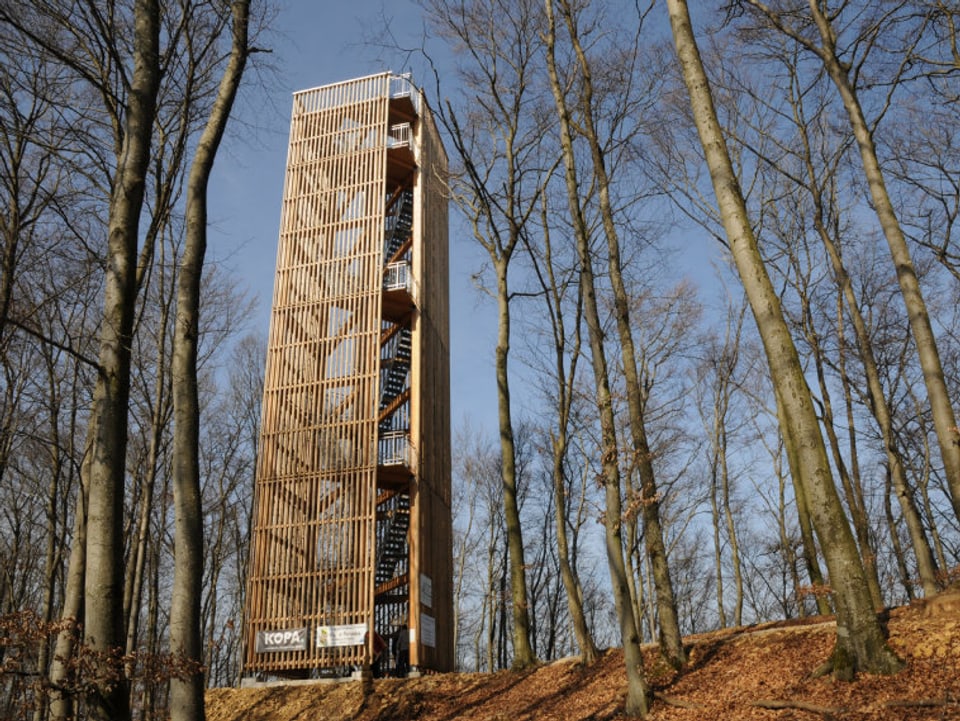 Ein hölzerner Turm im Wald, Aufnahme aus dem Herbst.