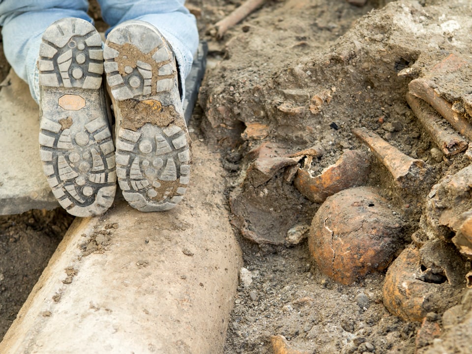 Schädel und Knochen, die in einem mittelalterlichen Friedhof liegen.