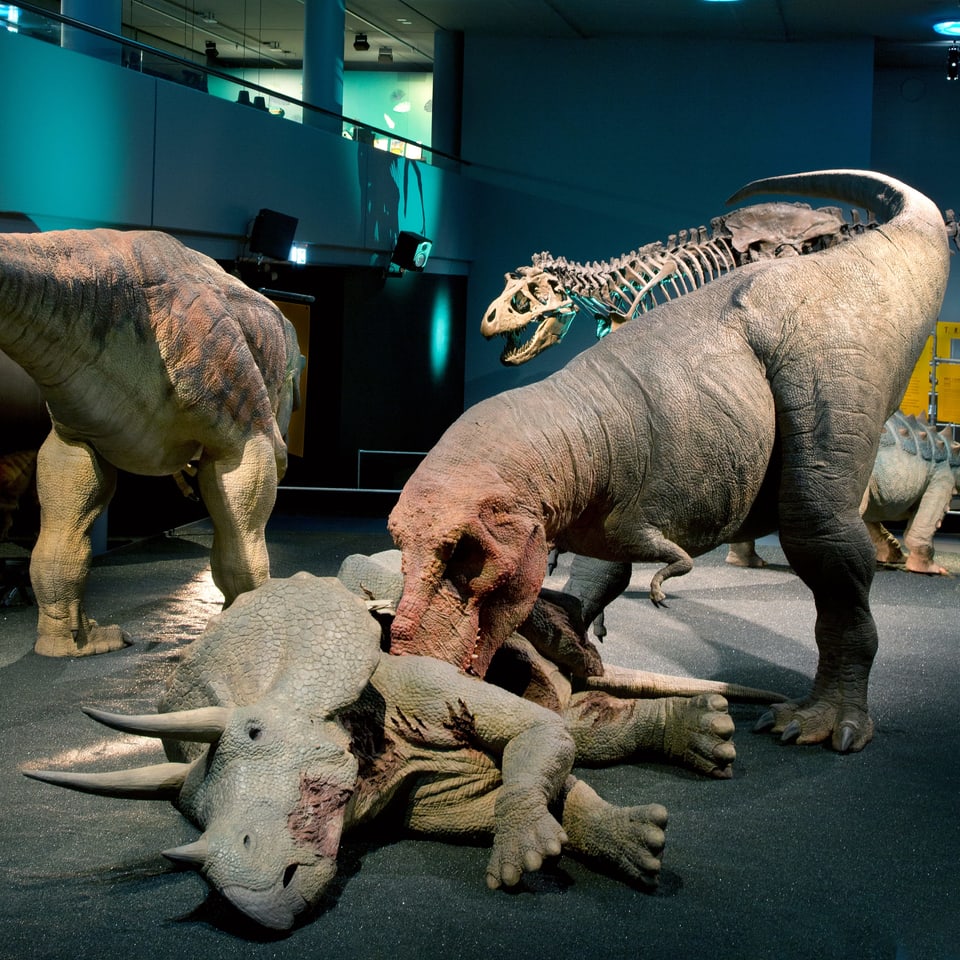 verschiedene Dinosaurier mit schuppiger grünlicher Haut im Museum