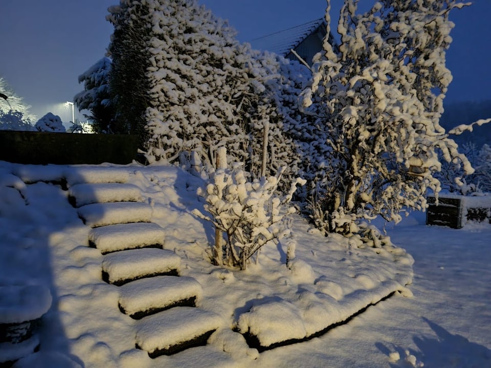 Ein Garten mit 10 cm Neuschnee