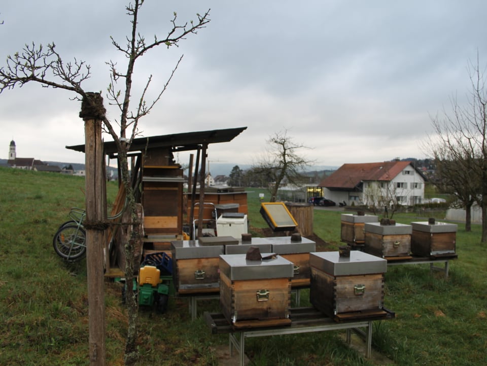 Bienenkästen vor dem grauen Himmel des Fricktals