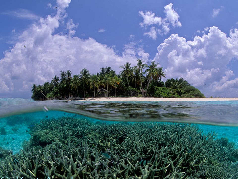 Im oberen Bild eine Insel, im unteren Bildrand hat es einen Korallenriff unter Wasser. 