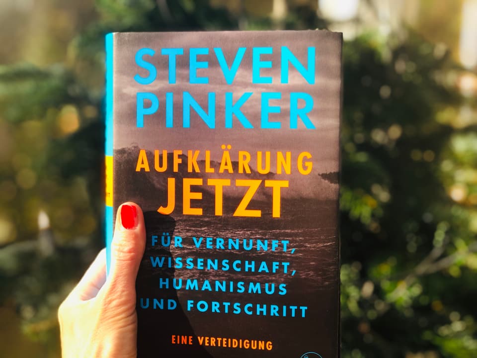 Das Sachbuch •	Steven Pinker: «Aufklärung jetzt» (2018, S. Fischer) vor einem Weihnachtsbaum