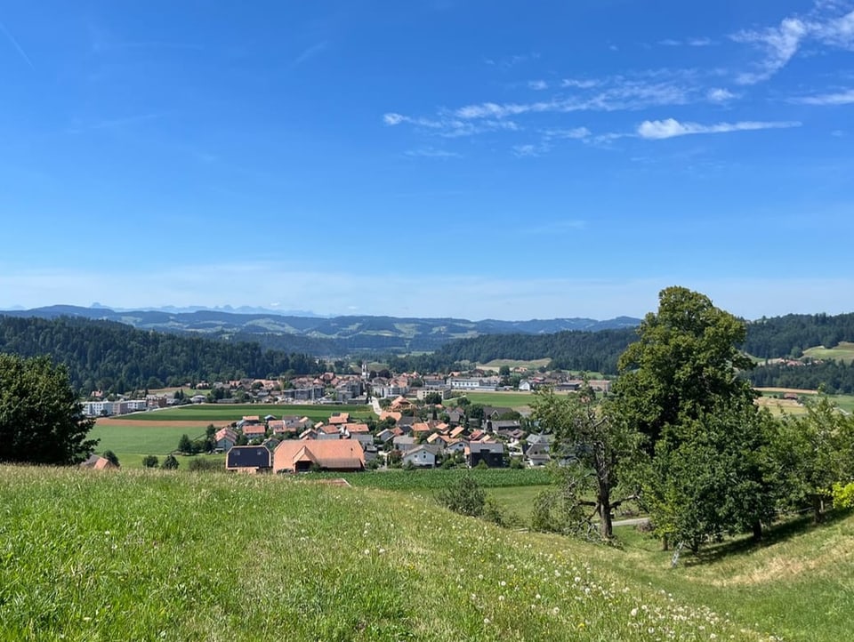 Blick von einem Hügel auf das Dorf Sumiswald.