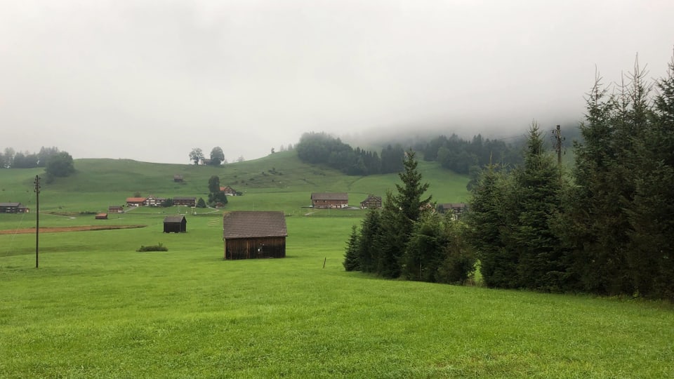 Schopf in nebliger Landschaft