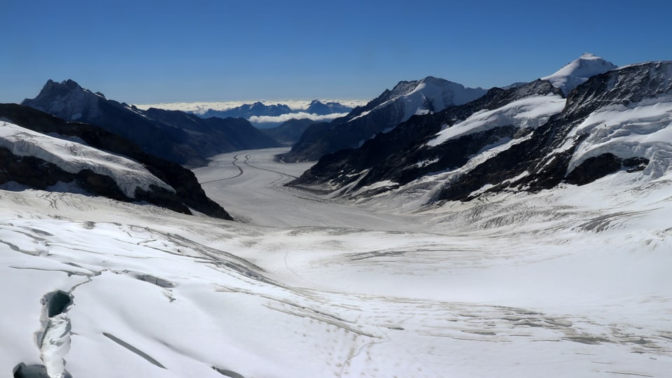 Blick vom Jungfraujoch auf den Aletschgletscher