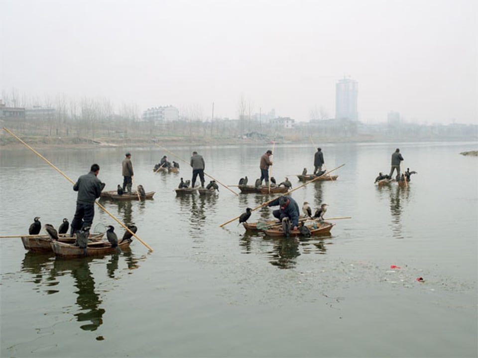 Kormoranfischer auf dem Fluss Quan. Fuyang, Provinz Anhui, 2011.