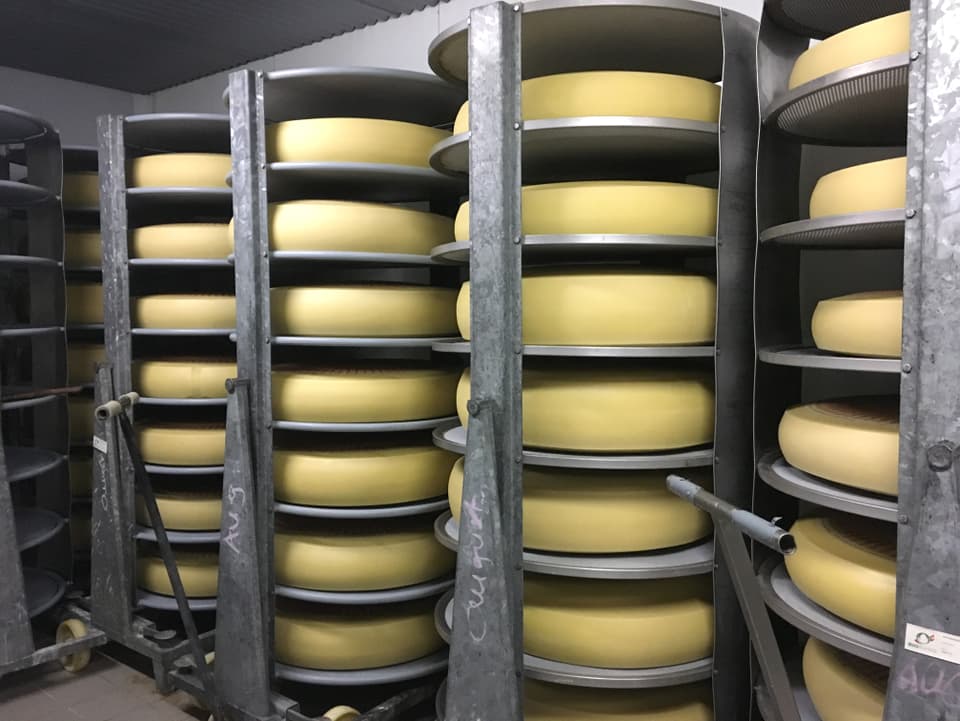 Original Emmentaler Käse im Lagerraum
