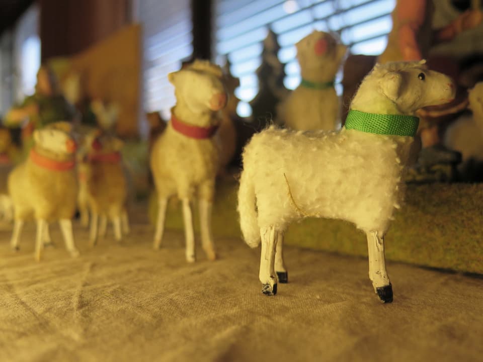 Mehrere Schafe aus Wolle.