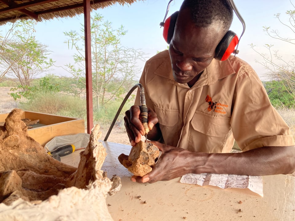 Mitarbeitende des Turkana Basin Institutes präparieren Fossilien, die zum Teil Millionen Jahre alt sind.