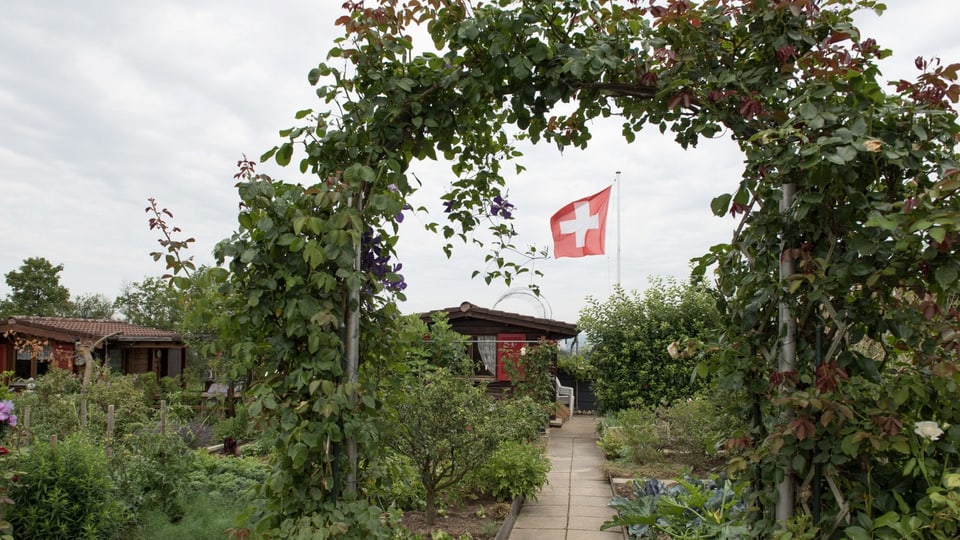 Ein rosenumrankter Torbogen in einem Schrebergarten, im Hintergrund weht eine Schweizerfahne.