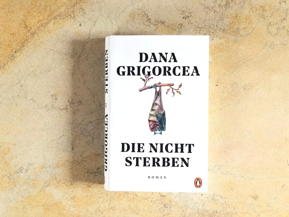 Der Roman «Die nicht sterben» von Dana Grigorcea liegt auf einer Marmorplatte