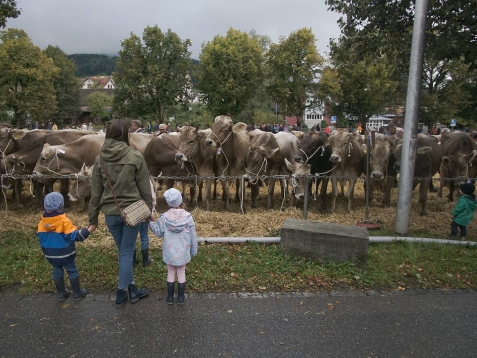 Eine Mutter mit Kindern bestaunt die Kühe