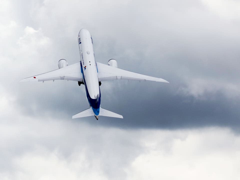 Grosses Flugzeug vor wolkenverhangenem Himmel.