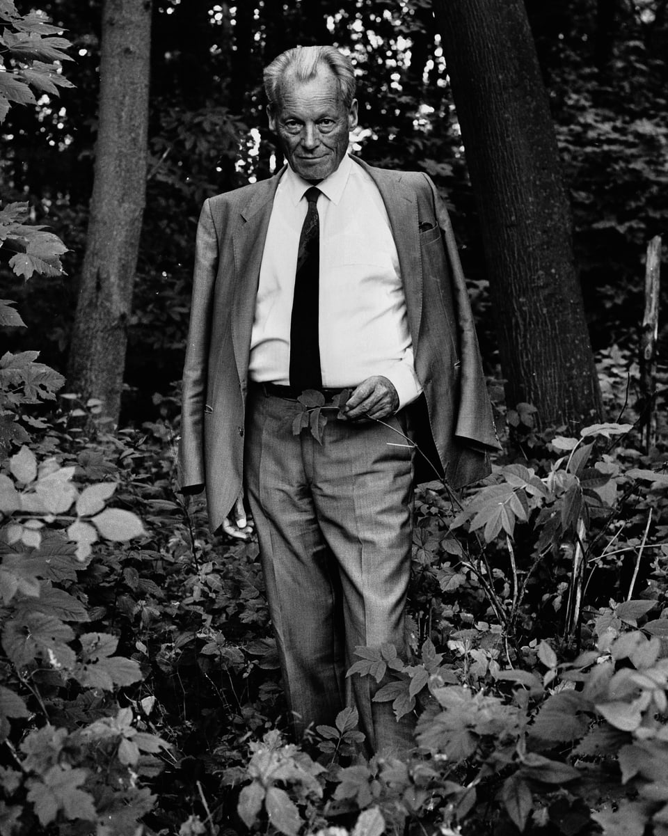Ein Mann mit Anzug un Krawatte steht im Wald.