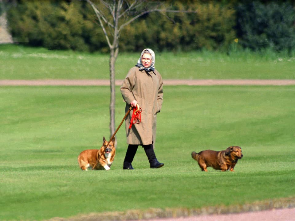 Elizabeth beim Spaziergang mit ihren Hunden. 