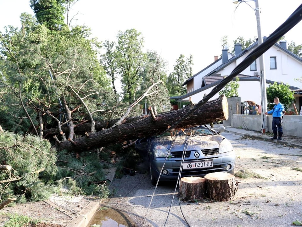Ein umgestürzter Baum liegt auf einem Auto, das auf der Strasse steht.