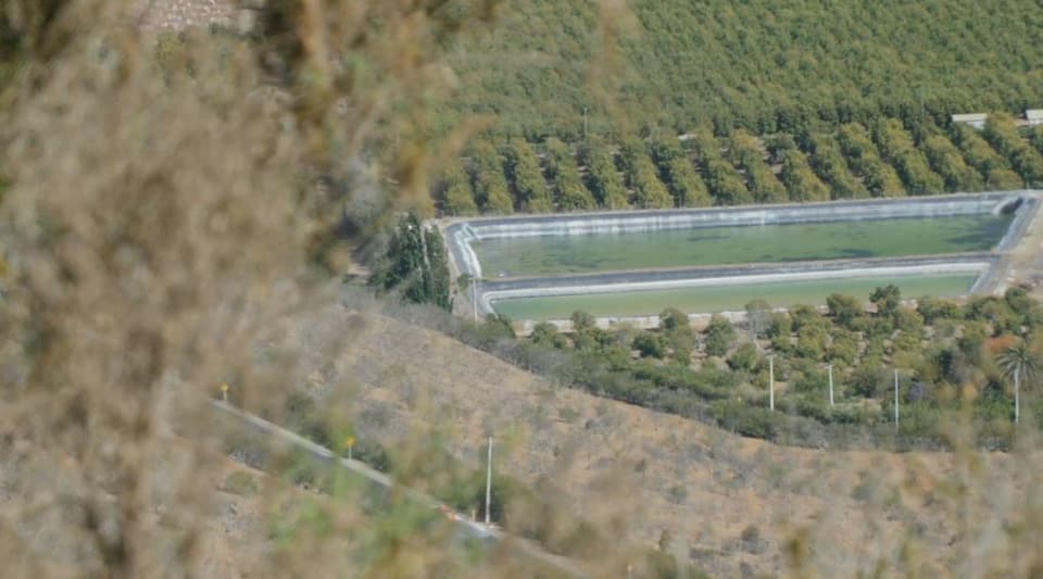 Wasserreservoir in einer Avocado-Plantage